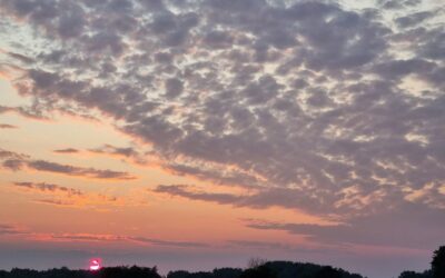 Тамо где Господ “хода”…