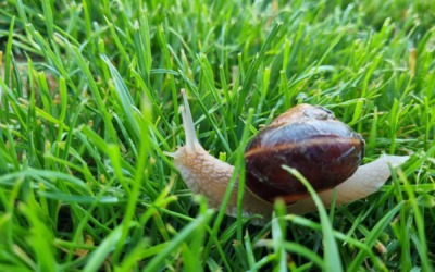 Полако… Стићи ћеш.