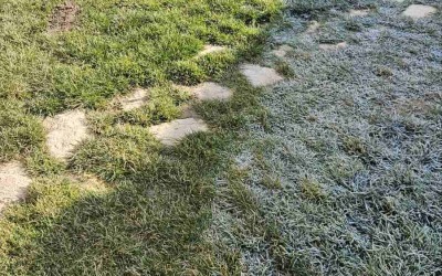 Природна теологија