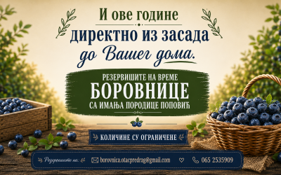 Резервишите на време боровнице са имања породице Поповић